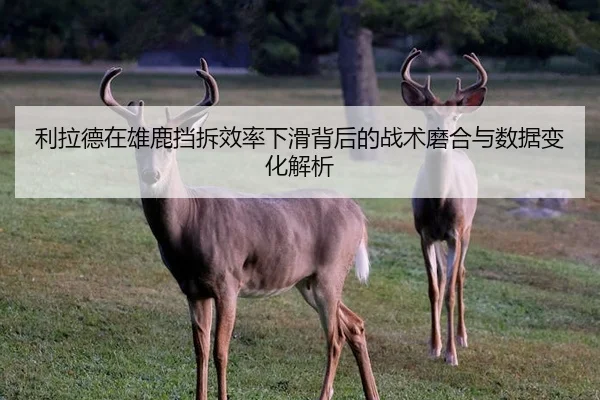 利拉德在雄鹿挡拆效率下滑背后的战术磨合与数据变化解析