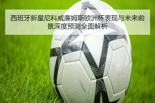西班牙新星尼科威廉姆斯欧洲杯表现与未来前景深度预测全面解析