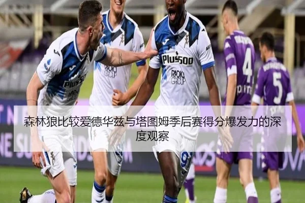 森林狼比较爱德华兹与塔图姆季后赛得分爆发力的深度观察