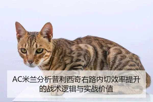 AC米兰分析普利西奇右路内切效率提升的战术逻辑与实战价值